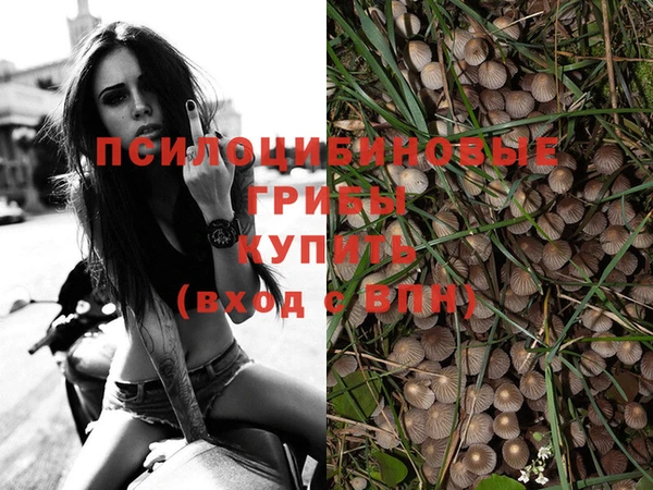соль курить ск Алексеевка