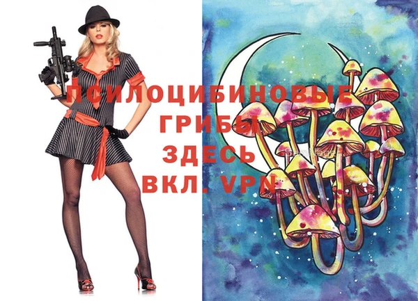 соль курить ск Алексеевка