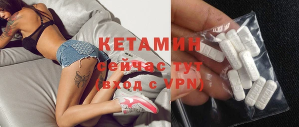 крисы Алексин