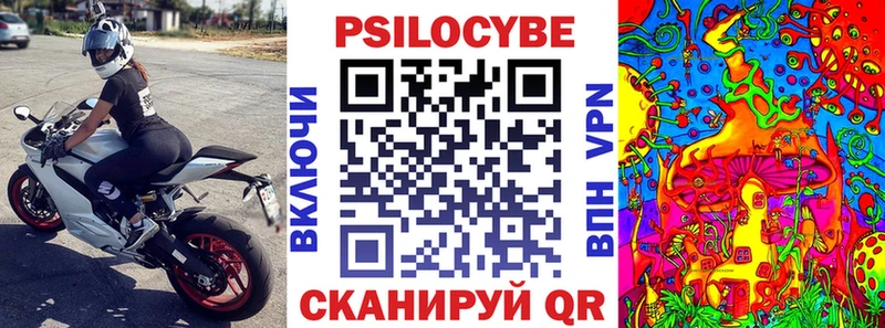 магазин продажи Сельцо MEGA ссылка Галлюциногенные грибы Cubensis